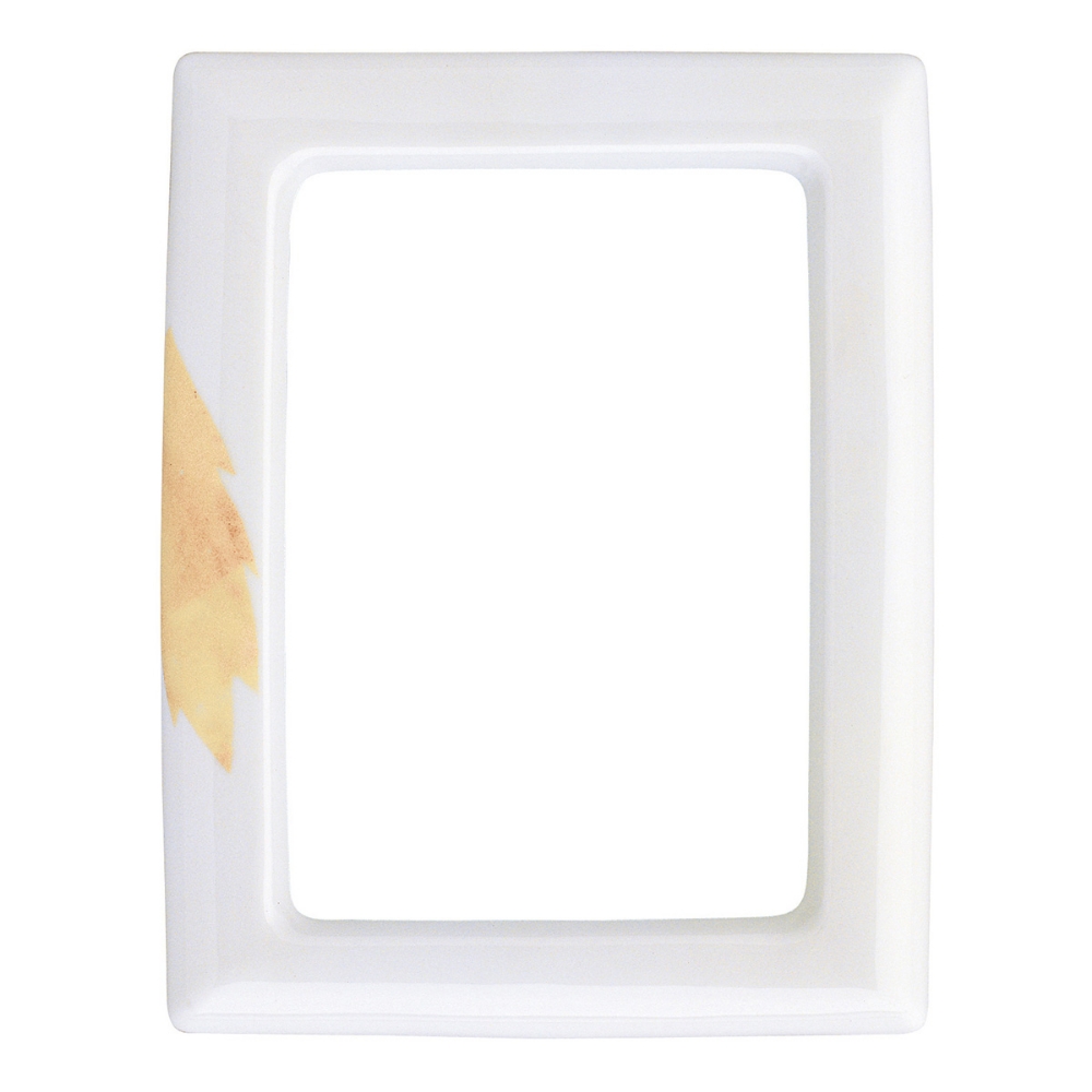 0002941 cornice porta foto rettangolare decorata con foglie porcellana 1000